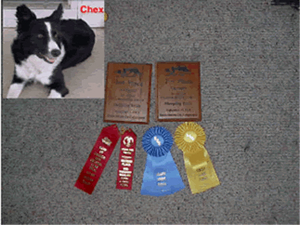 Awards: Chex